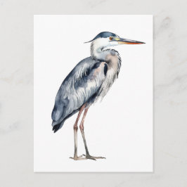 Coastal Blue Heron Bird ポストカード