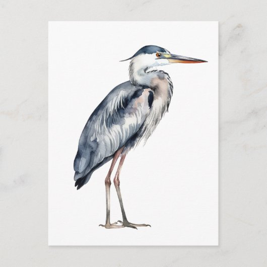 Coastal Blue Heron Bird ポストカード (正面)