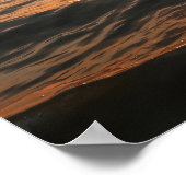 Coastal Dolphin Poster ポスター (角)