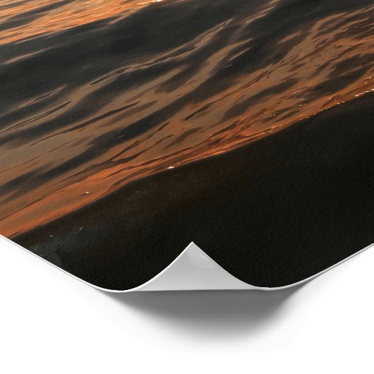 Coastal Dolphin Poster ポスター (角)