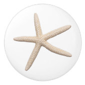 Coastal Ocean Starfish Cabinet Knob セラミックノブ (正面)