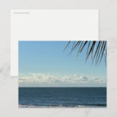 Coastal Palm Fronds & Ocean Waves Photography ポストカード (正面/裏面)
