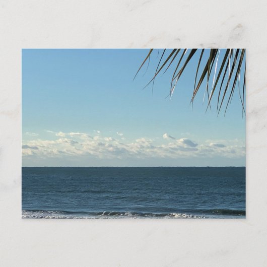 Coastal Palm Fronds & Ocean Waves Photography ポストカード (正面)