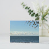 Coastal Palm Fronds & Ocean Waves Photography ポストカード (スタンド正面)