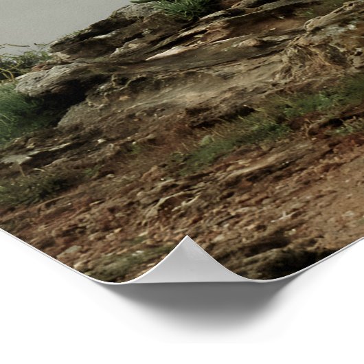 Coastal Sanctuary ポスター (角)