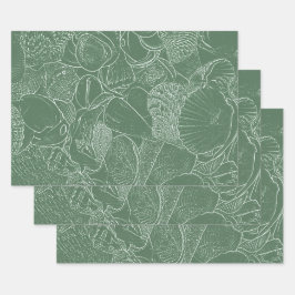 Coastal Sea Shell Beach Green White Decoupage ラッピングペーパーシート