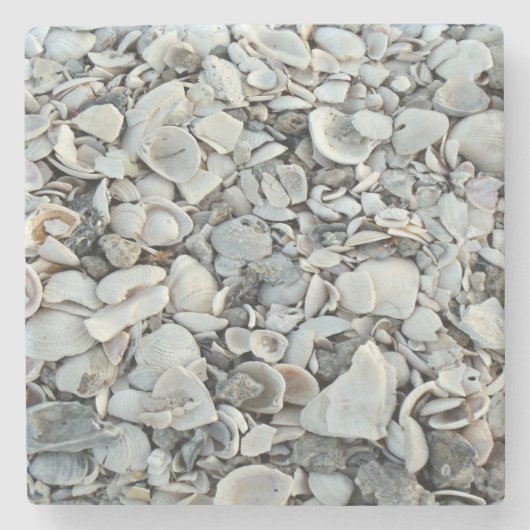coastal Shell Natural Pattern ストーンコースター (正面)