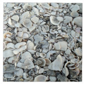 Coastal Shells Shore Tile タイル (正面)