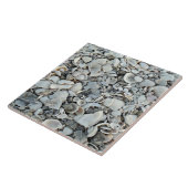 Coastal Shells Shore Tile タイル (側面)