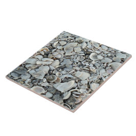 Coastal Shells Shore Tile タイル