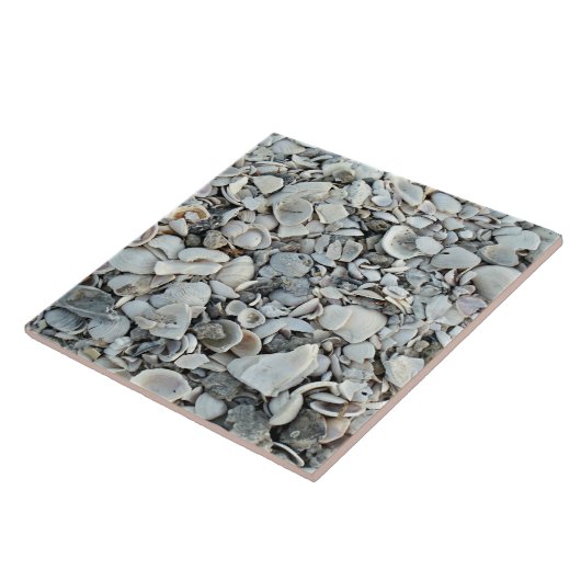 Coastal Shells Shore Tile タイル (側面)