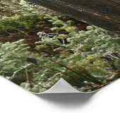 Coastal Steps ポスター (角)