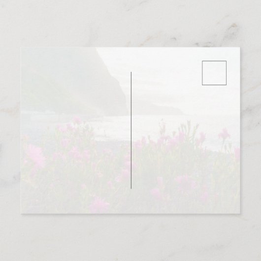 Coastal Sunset Madeira ポストカード (裏面)