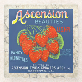 COASTER – アセンション美しい – クラートラベルを作成 ガラスコースター