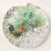 Coaster_Rooster コースター (正面)