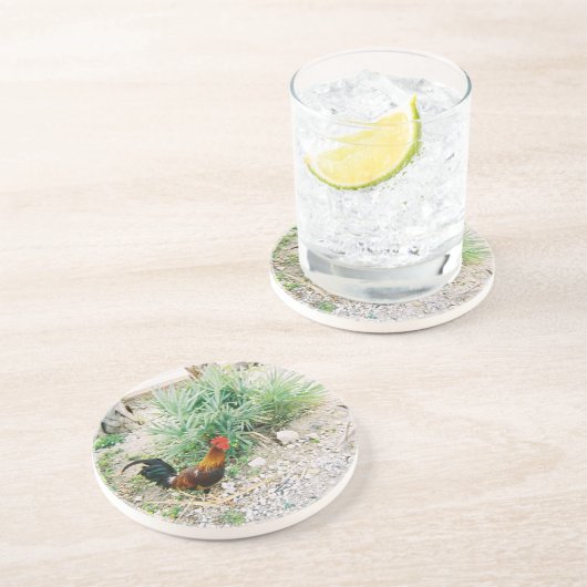 Coaster_Rooster コースター (側面)
