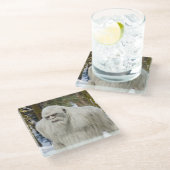 Coasterbigfoot,サスカッチ，スクワット，ブーガー ガラスコースター (アングル)