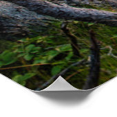 Coastline | Ravens Nest Acadia National Park Maine ポスター (角)