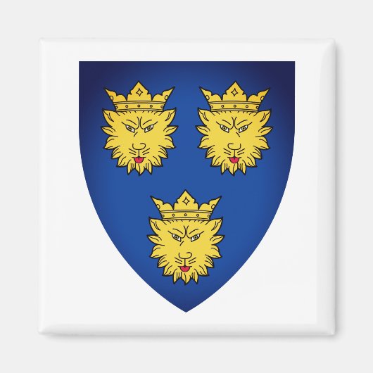 Coat of Arms of Dalmatia，クロアチア磁石 マグネット (正面)