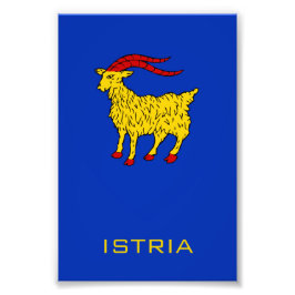 Coat of Arms of Istria Adriatic Legacy フォトプリント