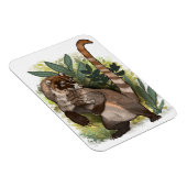 CoatamundiまたはホワイトノーズCoati マグネット (右側)