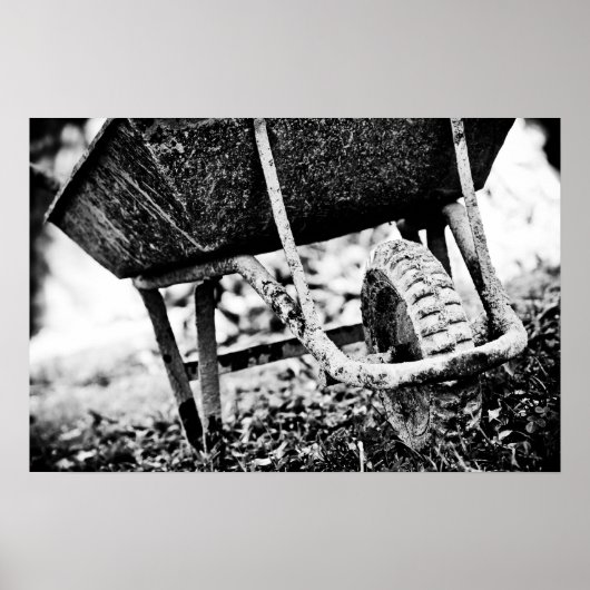 coated carrier ポスター (正面)