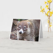 Coatiの挨拶状 カード (黄色い花)