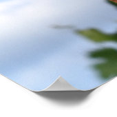 Cobポスターのコーン ポスター (角)