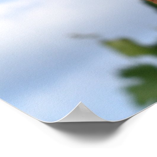 Cobポスターのコーン ポスター (角)