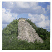 Cobaのユカタン半島、メキシコのマヤの台なし タイル (正面)