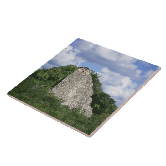 Cobaのユカタン半島、メキシコのマヤの台なし タイル (側面)