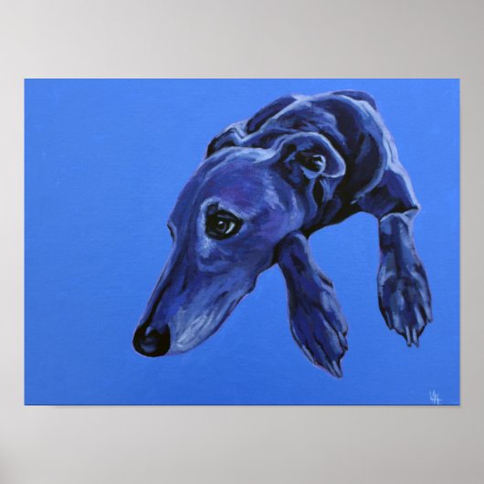 Cobalt Daydreamのポスター – blue lurcher dog ポスター (正面)