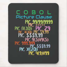 CobolプログラミングのPICTURE句 