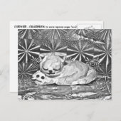 Cobweb + Crabfren ポストカード (正面/裏面)