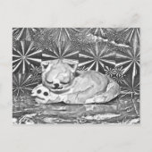 Cobweb + Crabfren ポストカード (正面)