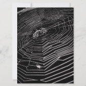 Cobwebs & White Spiders Virtual 結婚's 招待状 (裏面)