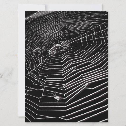 Cobwebs & White Spiders Virtual 結婚's 招待状 (裏面)