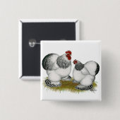 Cochins:  アメリカのチャボ 缶バッジ (正面&裏面)