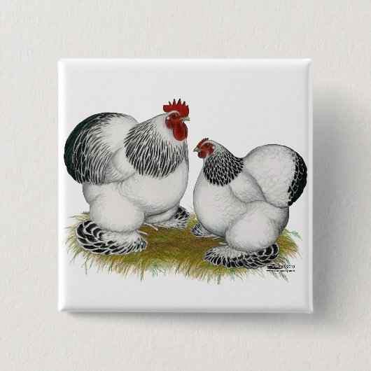 Cochins:  アメリカのチャボ 缶バッジ (正面)