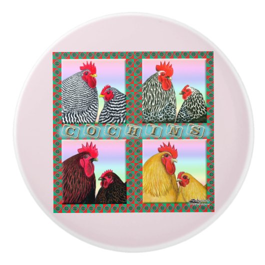 Cochins 4色 セラミックノブ (正面)