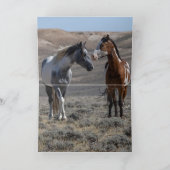 Cochise and Sky Dancer Greeting Card 招待状 (内部)