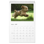 Cockapooのカレンダー2018年 カレンダー (3月 2027)