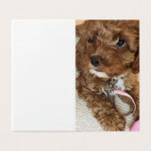 Cockapooの子犬のバースデー・カード (外部フラット)