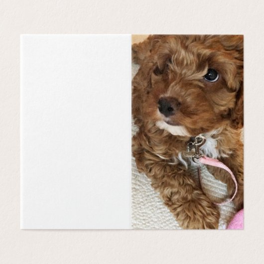 Cockapooの子犬のバースデー・カード (外部フラット)