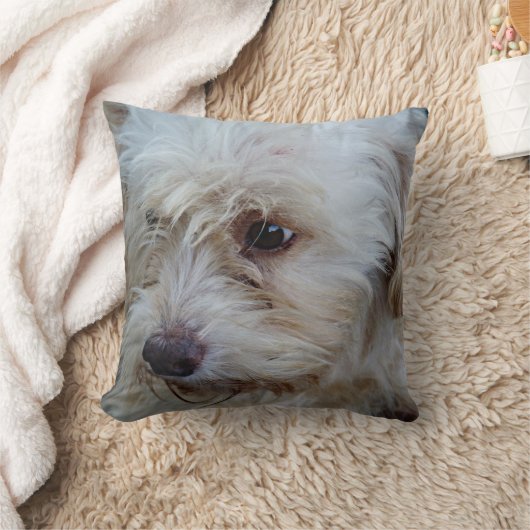 Cockapooの子犬のMojoの愛らしい装飾用クッション クッション (ブランケット)