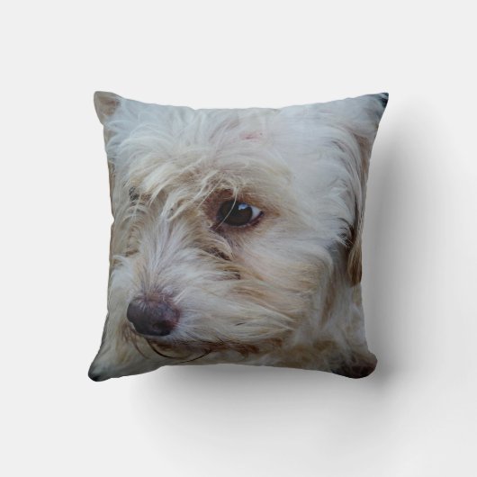 Cockapooの子犬のMojoの愛らしい装飾用クッション クッション (裏面)