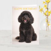 Cockapoo Birthday Card Cute Dog Minimal Design カード (黄色い花)