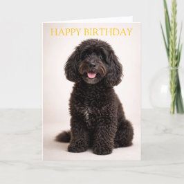 Cockapoo Birthday Card Cute Dog Minimal Design カード