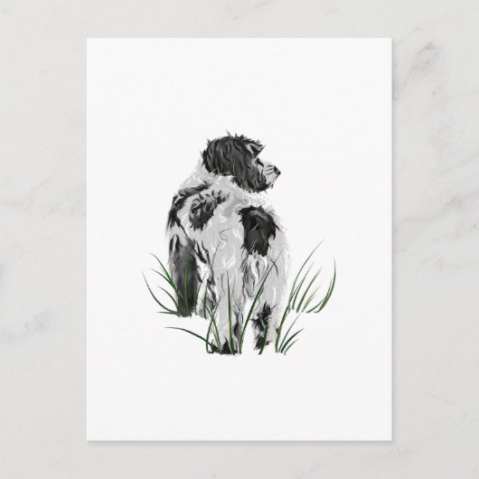 Cockapoo Dog, Watercolor Postcard ポストカード (正面)