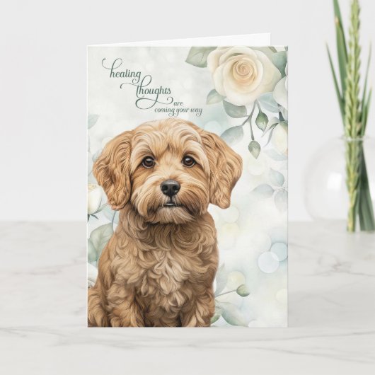 Cockapoo Dog White Roses and Sage Green Get Well カード (正面)